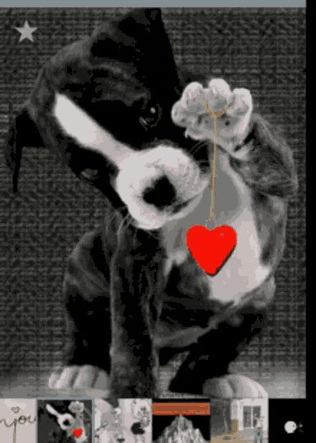 Love You Dog GIF - Love You Dog Heart GIFs