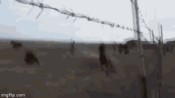 a blurred image of a barbed wire fence in the desert with people walking behind it .