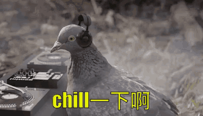 a pigeon wearing headphones is sitting in front of a turntable and says chill .