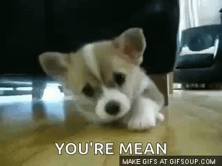 Puppy Yourn Mean GIF - Puppy Yourn Mean Sad GIFs