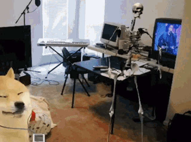 a skeleton is sitting on a desk in a living room