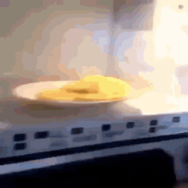 a white plate with a yellow item on it in a microwave