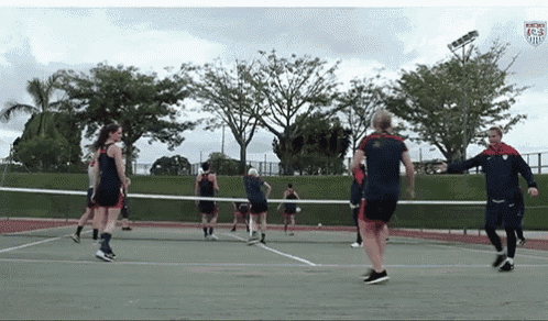 a group of people are playing volleyball on a court with a logo that says nfl on it