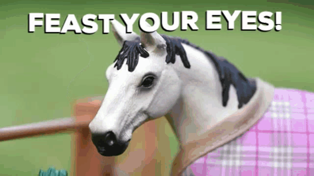 a picture of a horse with the words feast your eyes