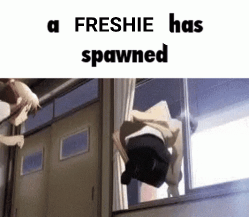 a freshie has spawned in a room with a person standing in the window .