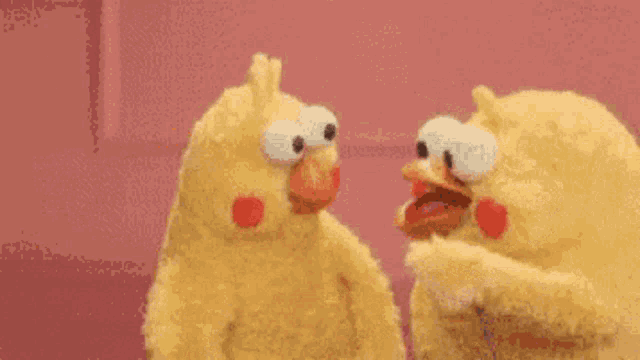 Chick Chicken GIF - Chick Chicken Funny GIFs