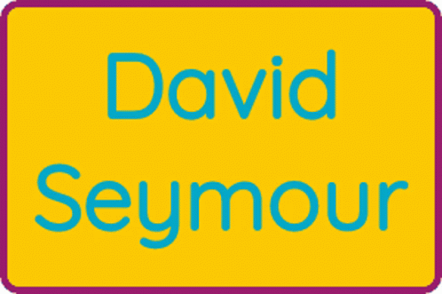David Seymour GIF - David Seymour GIFs