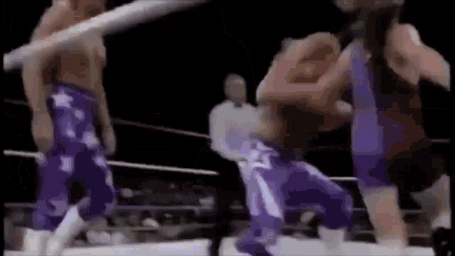 The Beverly Brothers Wwf GIF - The Beverly Brothers Wwf GIFs