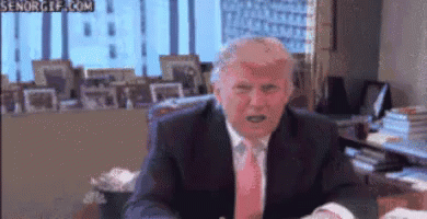 The Apprentice GIF - The Apprentice Donald Trump Trash Head GIFs