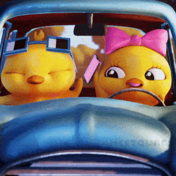 a couple of chicks in a car with the word meetquay on the bottom