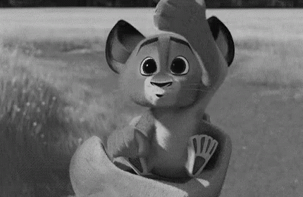 Caras De Leon GIF - Animated Animal Facial Expression GIFs