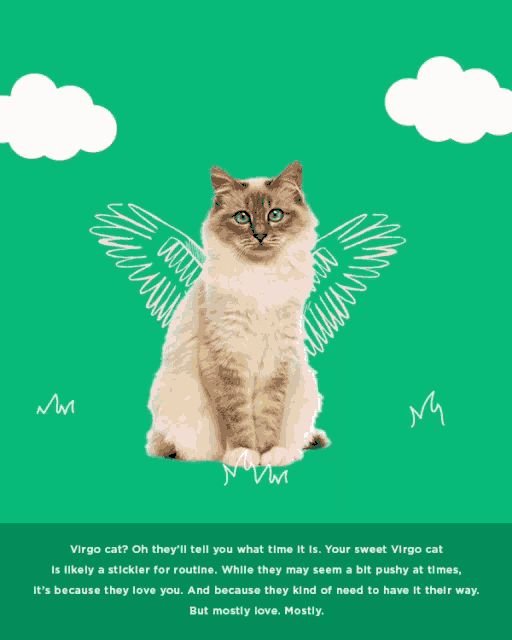 a virgo cat with wings is on a green poster