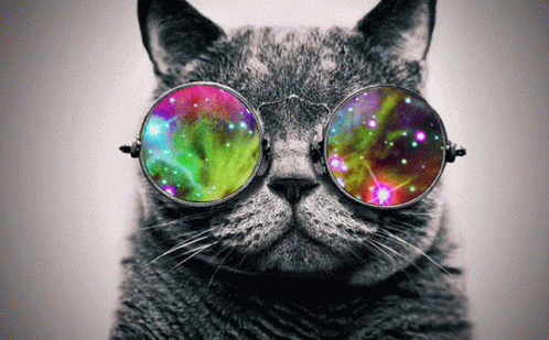 Karen Galaxy GIF - Karen Galaxy Cat GIFs