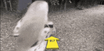 a yellow arrow points to a number 917