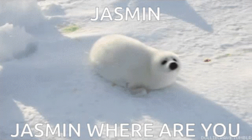 Jasmin GIF - Jasmin GIFs
