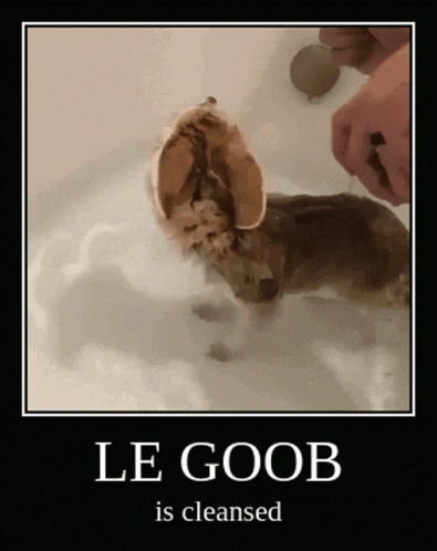 Le Goob Bath GIF - Le Goob Bath Cleansed GIFs