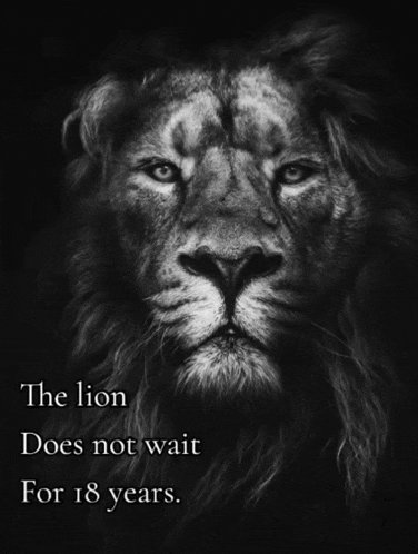 a black and white photo of a lion with the words " the lion does not wait for 18 years " below it