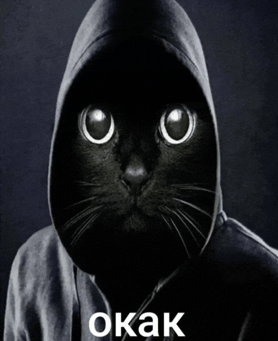 a black cat wearing a hooded jacket with the word okak on the bottom