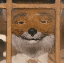 a stuffed fox in a suit and tie behind a wooden fence