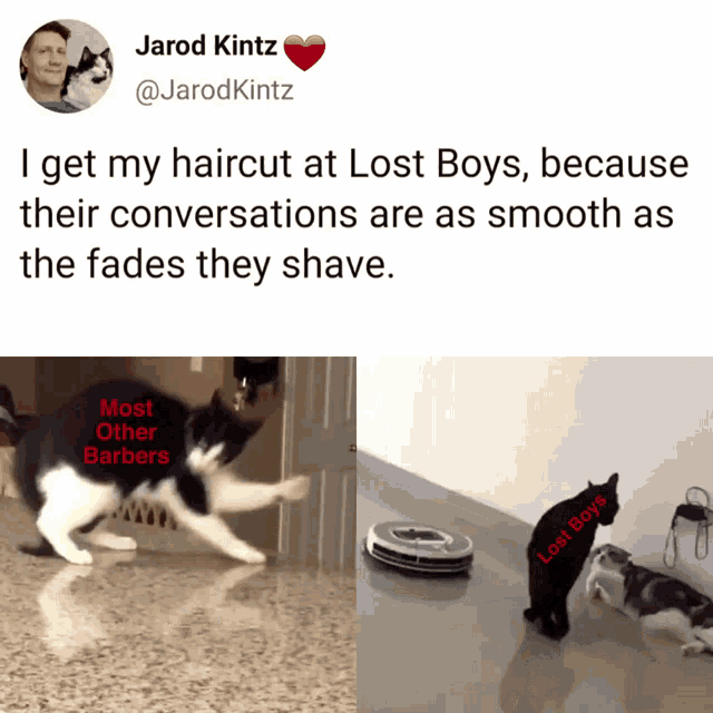Cats Barber GIF - Cats Barber Smooth GIFs