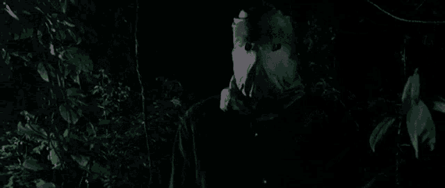 a person wearing a paper bag on their face is standing in the dark .