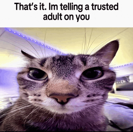 a close up of a cat with the caption that 's it im telling a trusted adult on you