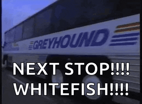 a greyhound bus is parked on the side of the road and says next stop !!! whitefish !!!