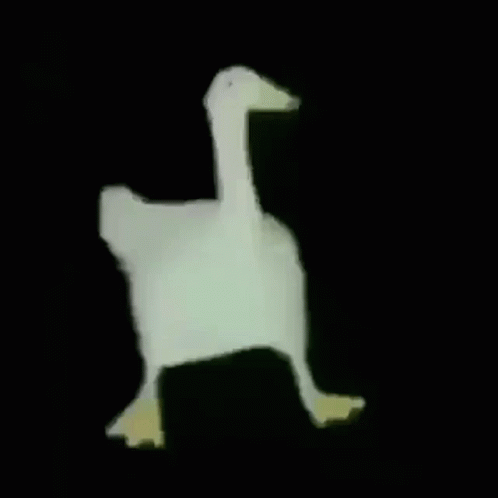 Duck Dance GIF - Duck Dance Moves GIFs
