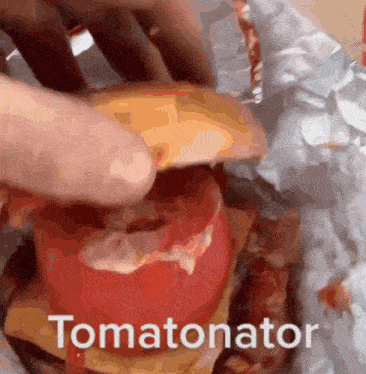 a close up of a person holding a tomato with the word tomatonator written below it