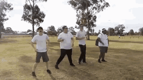 a group of young men are dancing in a field .