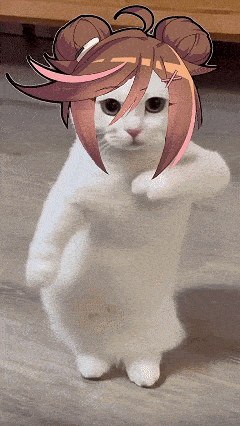 a white cat with a drawing of a girl 's face on its head