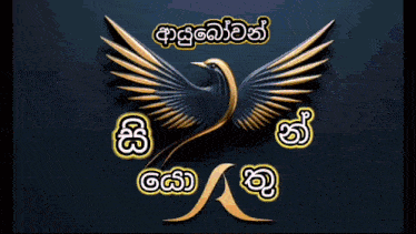 a picture of a bird with a fireworks display in the background and the words in a foreign language on the bottom