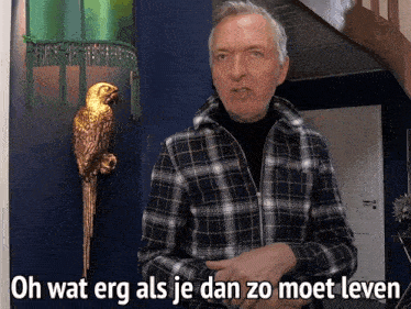 a man in a plaid shirt says " oh wat erg als je dan zo moet leven " in front of a parrot statue