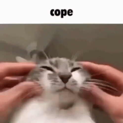 Cope Cat GIF - Cope Cat Petting GIFs