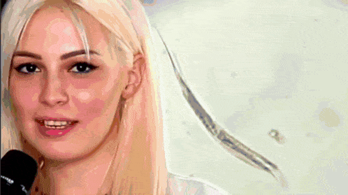 a close up of a blonde woman 's face with a white background