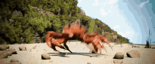 a crab is walking on a sandy beach with rocks