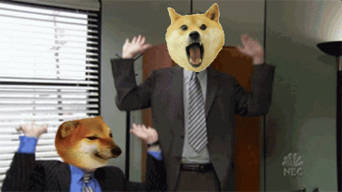 Doge Dogecoin GIF - Doge Dogecoin Celeste GIFs