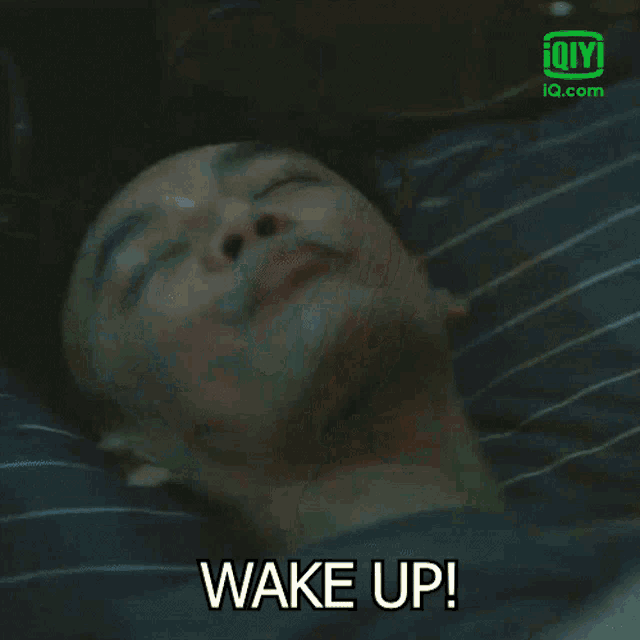 Wake Wake Up GIF