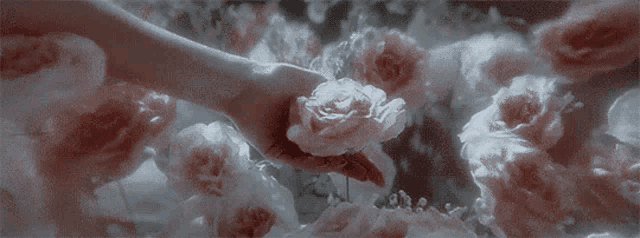 a woman is holding a rose in her hand surrounded by roses