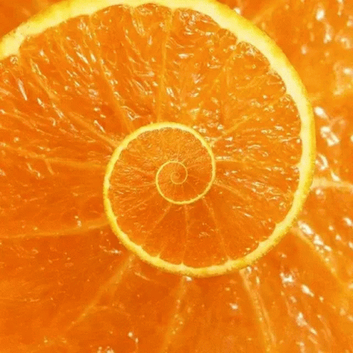 Vitaminsiz Sezar Orange GIF - Vitaminsiz Sezar Orange Spiral GIFs