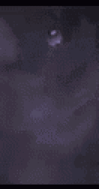 a purple background with a blurred image of a person