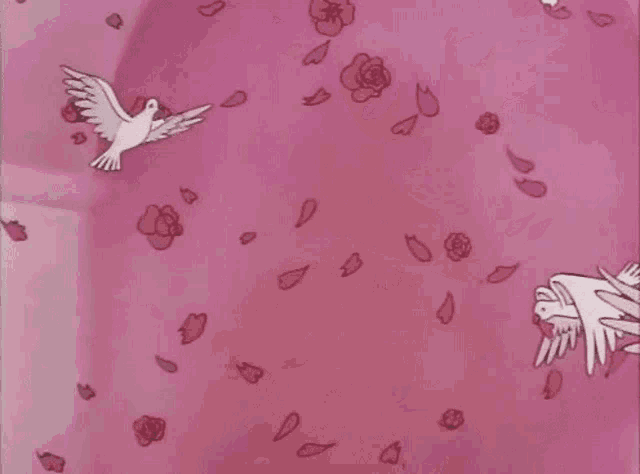 a group of white birds are flying over a pink wall