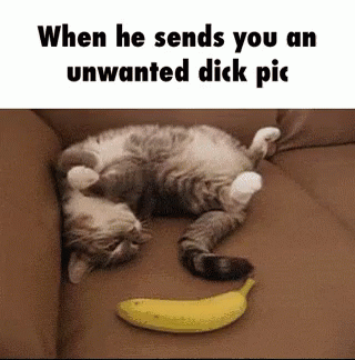 Cat Couch GIF - Cat Couch Banana GIFs