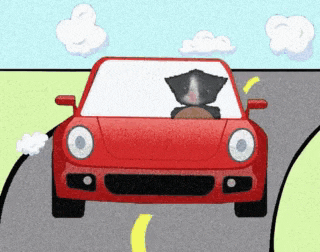 a black and white dog is driving a red car