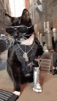 Jonny Silverpaw Cyberpunk GIF - Jonny Silverpaw Cyberpunk Cat GIFs