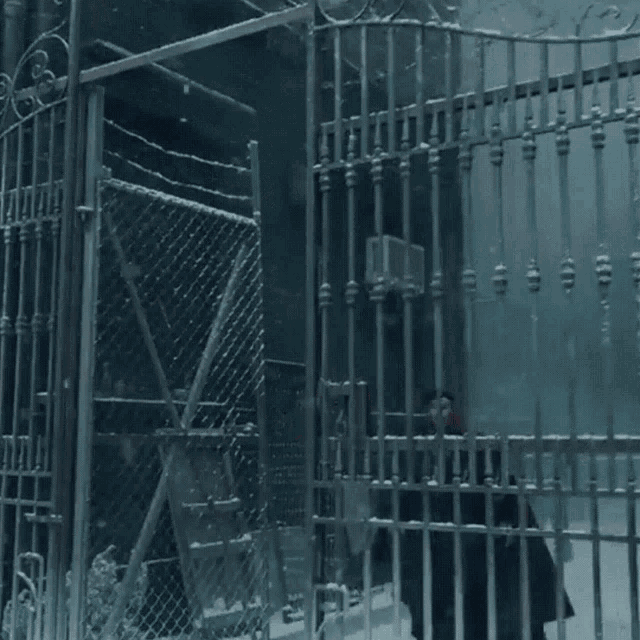 doctor strange is walking through a gate in a dark room