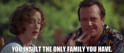 Nine Months Gail Dwyer GIF - Nine Months Gail Dwyer You Insult The Only Family You Have GIFs