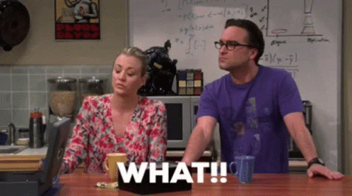What Big Bang Theory GIF - What Big Bang Theory Bbt GIFs