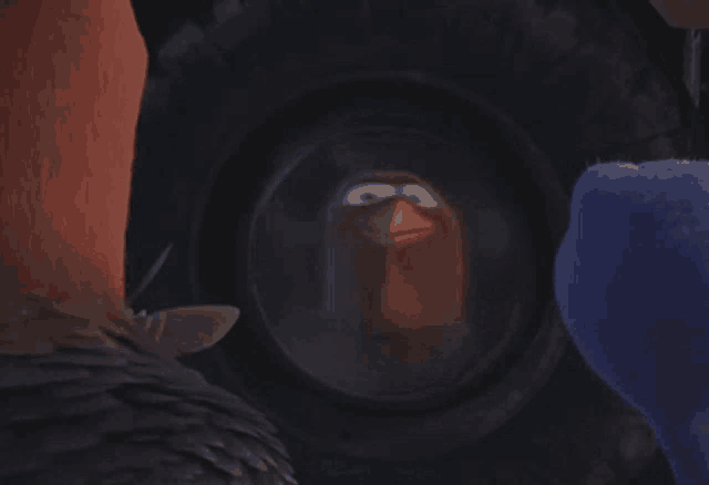 a group of cartoon birds looking through a telescope