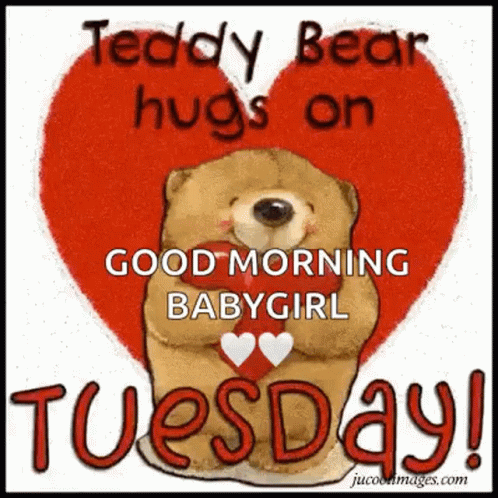 Good Morning Happy Tuesday GIF - Good Morning Happy Tuesday Teddy GIFs